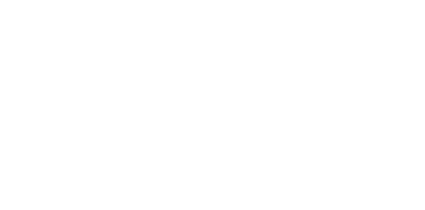 Stories of Renewed Dreams